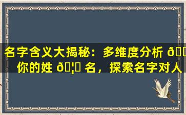名字含义大揭秘：多维度分析 🕸 你的姓 🦍 名，探索名字对人生的影响！